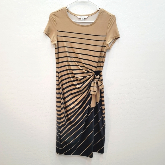Aa Studio Dresses & Skirts - AA Studio AA Tan & Black Striped Tie Dress Women's Size 6